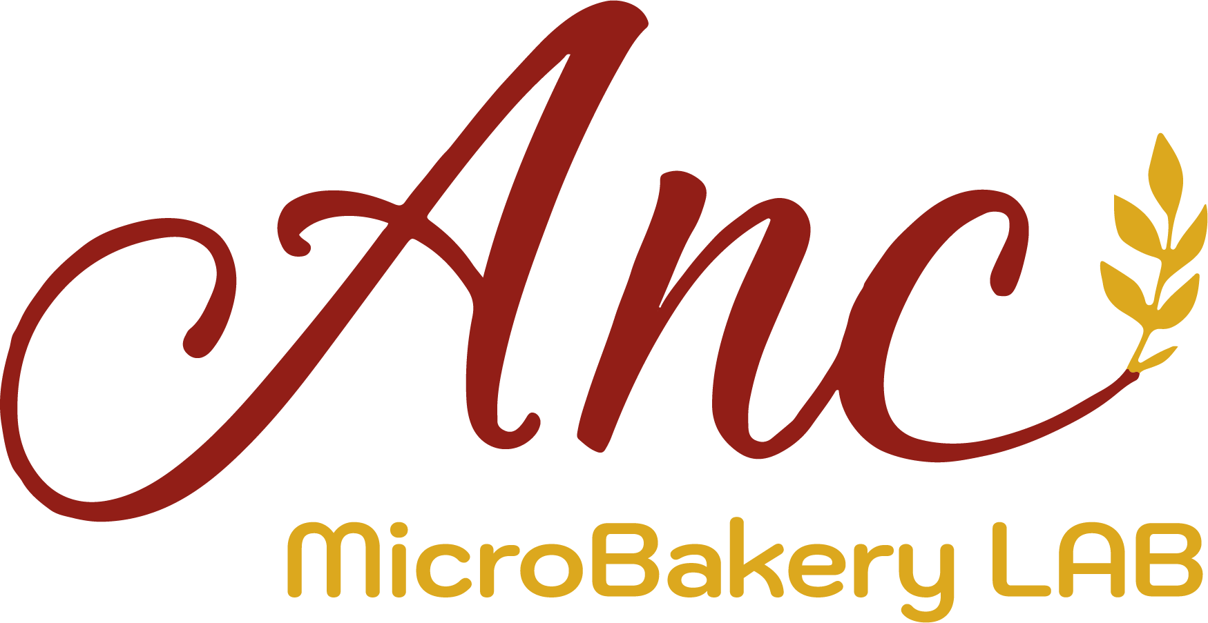 ANC Microbakery Lab